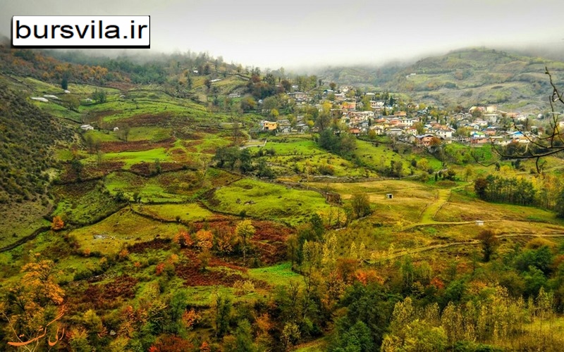 واز